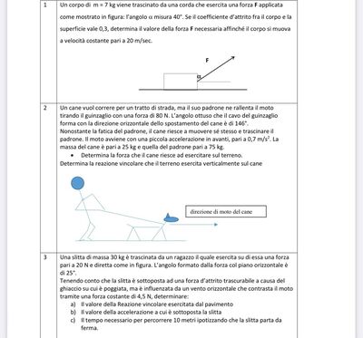 Fisica Verifica Forze