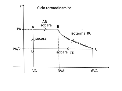 ciclo term