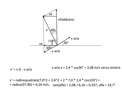 gabbiano