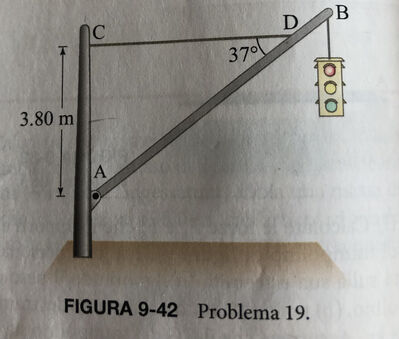 Esercizi Fisica: Equilibrio – Domande – SOS Matematica