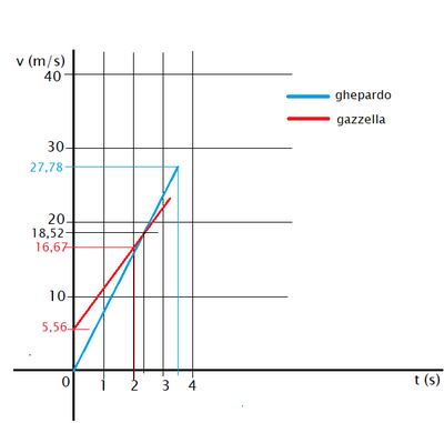 grafico due velocità  tempo