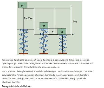 molla compressa 1