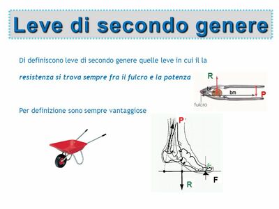 Leve+di+secondo+genere