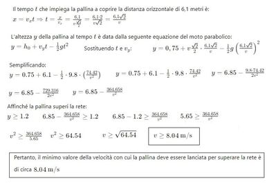 pallina oltre la rete 2