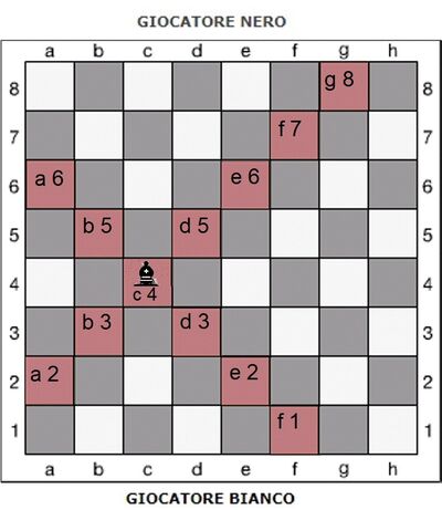 Alfiere in c 4 mosse possibili