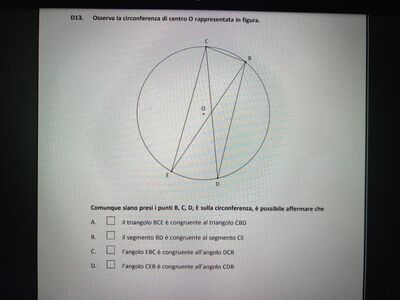 D13