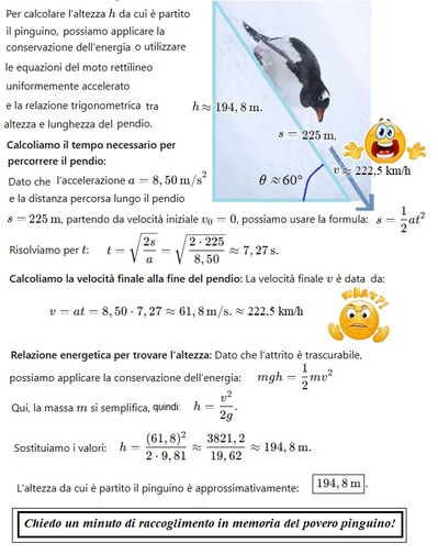 Pinguino in scivolata